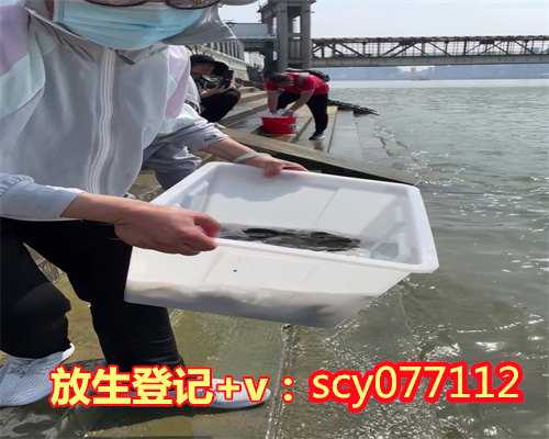 重庆乌龟放生的地方，重庆华岩寺6月2日恢复开放公告