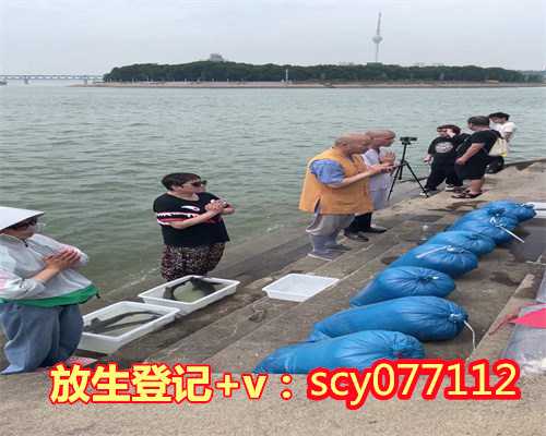 <strong>贵州放生团队，贵州哪里放生红鲤鱼，贵州何地可以</strong>