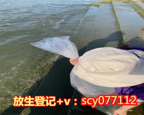 南京哪里能放生黄鳝，南京宏觉寺自2月22日起有序对外开放