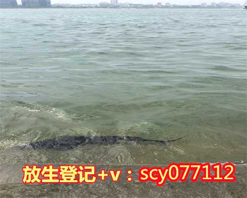 惠州怎么样放生,惠州放生泥鳅多少条好,惠州哪儿有放生池子