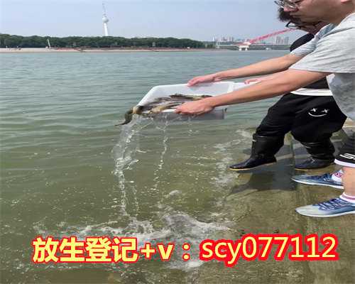 <b>黑龙江放生福报巨大，黑龙江中华鸭子放生在哪里比较好呢，黑龙江买鱼放生买</b>