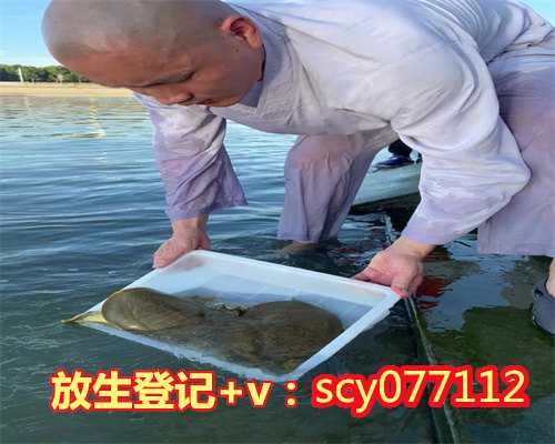 重庆放生的鱼从哪里买到，两老人在重庆嘉陵江中钓起鳄鱼疑似被人放生