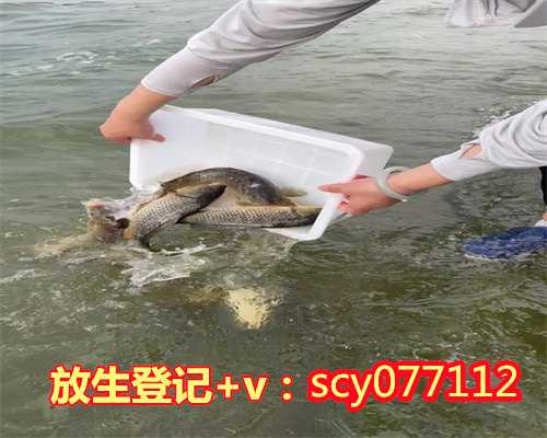 <b>惠州公园放生,惠州哪里可以放生黑鱼,惠州哪里能放生老鳖</b>