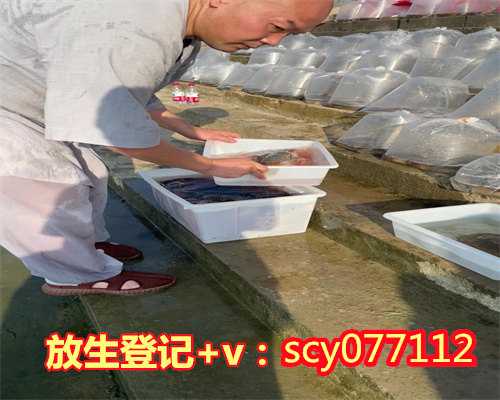 放生鸡养殖场漳州,漳州哪里可以放生黑鱼的地方【放生的回向文简单版】